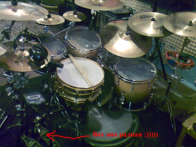 Кобра copy.jpg