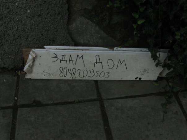d.jpg