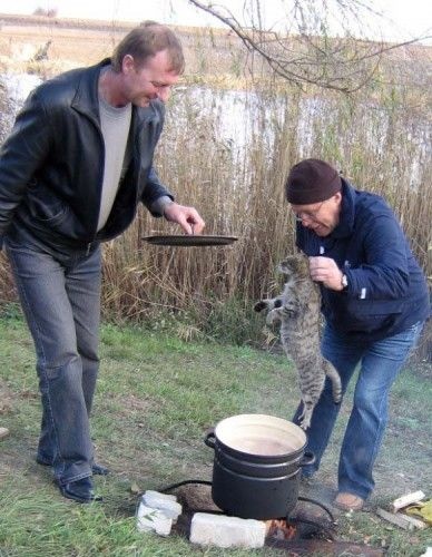 Коту писсец.jpg