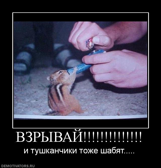 Тушканчики жгут.jpg