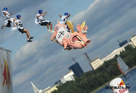 1263264240_5[1].jpg