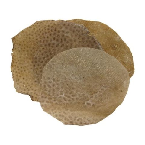 рыбья кожа
