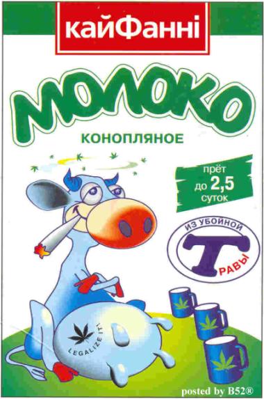 Кайфанни.jpg