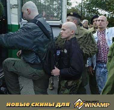 Новые скины для Winamp.jpg