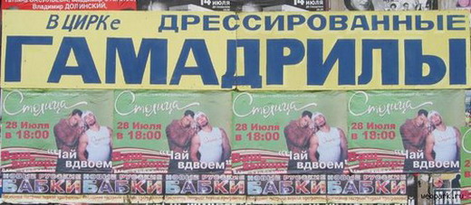 get_image17.jpeg