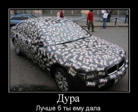 1253597913_9.jpg