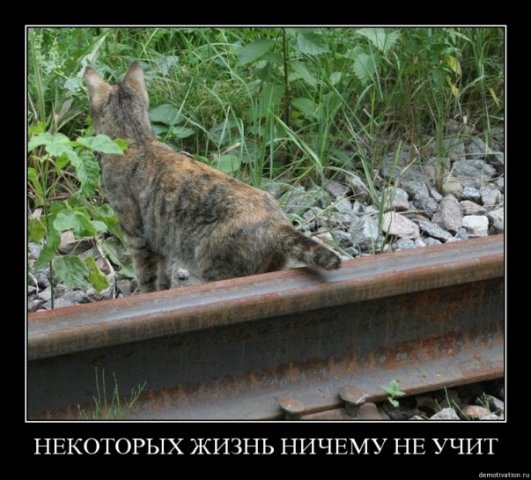 x_6e56b397.jpg