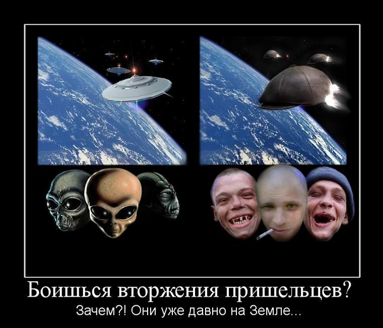 berloga_net_319681891.jpg