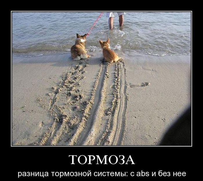 berloga_net_1955939107.jpg
