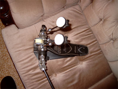 cobra1.jpg