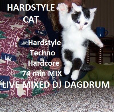 DJ dagdrum-Hardstyle Cat 2011.jpg