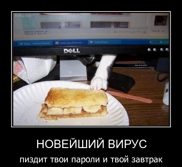 noveyishiyi_virus_pizdit_tvoi_paroli_i_tvoyi_zavtrak.jpg