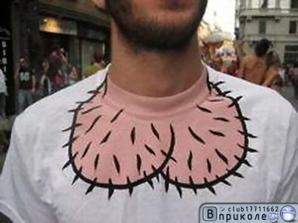 11388860.jpg