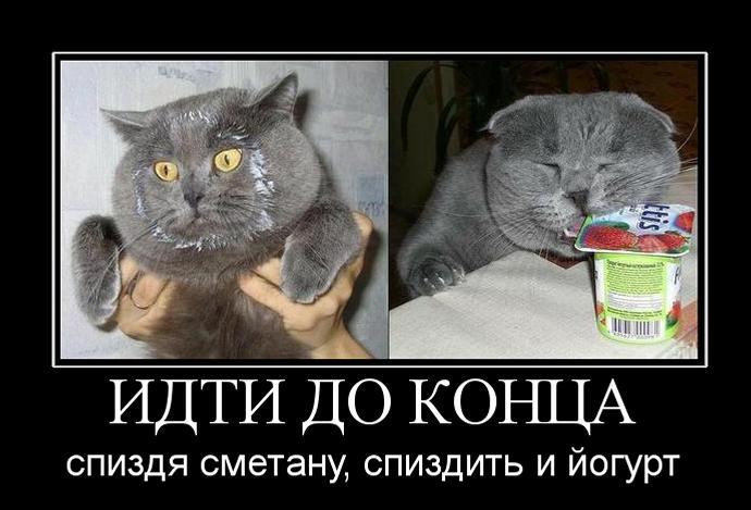 254060_idti-do-kontsa.jpg
