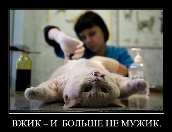 KotE-Ulibatori-11.jpg
