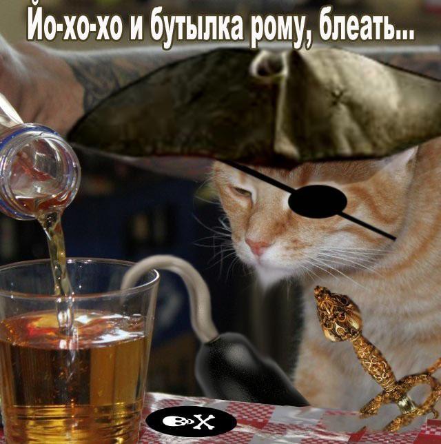 17711778.jpg