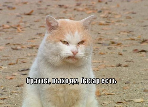 bazar-yest_1284231557.jpg