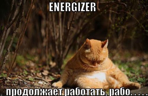energizer_1270568552.jpg