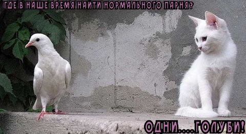 normalnyy-paren_1282413171.jpg