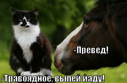 travoyadnoye_1275537897.jpg
