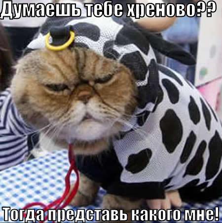 tebe-hrenovo_1271854171.jpg
