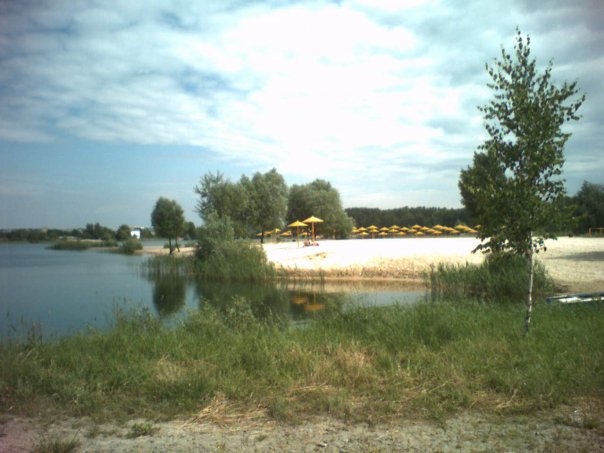ЛЕЙК3.jpg