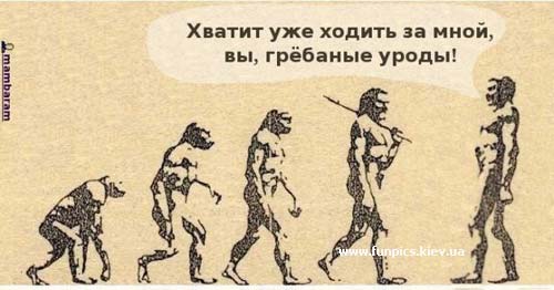 evolutionnj6.jpg