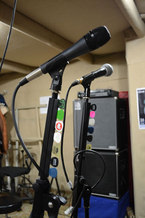 Pick_Holder_(small).jpg