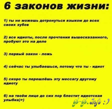 1208269919_12132.jpg
