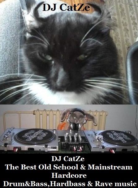DJ CatZe -2013(1-1).jpg