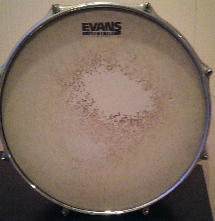 Snare2.jpg