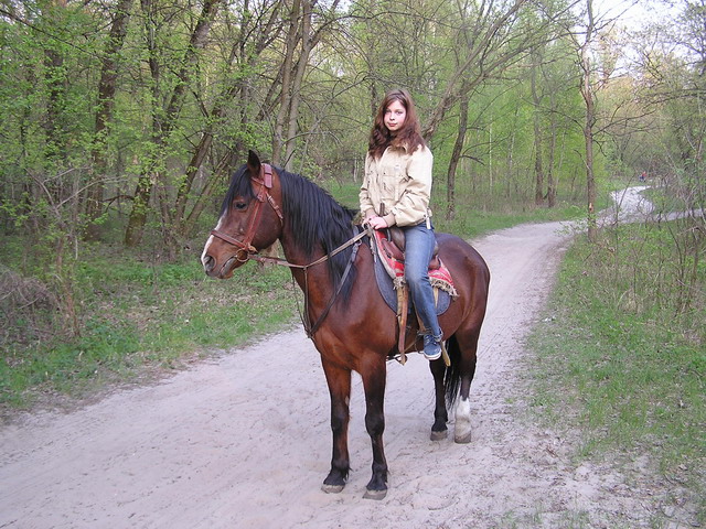 P1010009.jpg